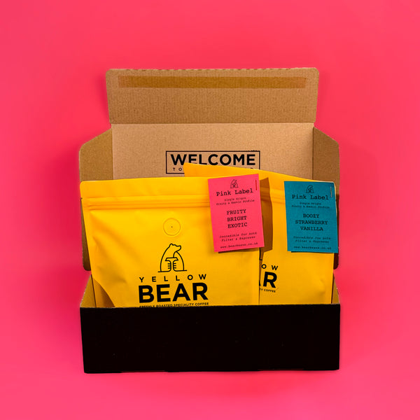 Yellow B Subscription