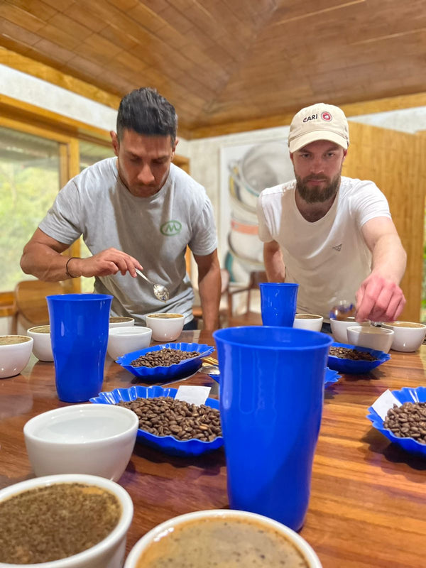SLOTH B [Speciality Decaf]