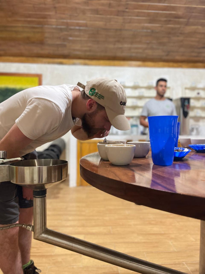 SLOTH B [Speciality Decaf]